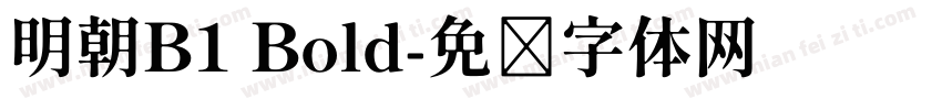 明朝B1 Bold字体转换